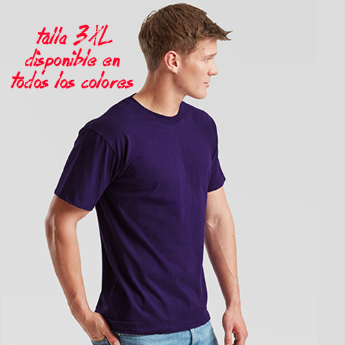 CAMISETA VALUE WEIGHT